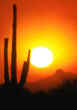 PASSIVE SOLAR ENERGY - IMAGE 05