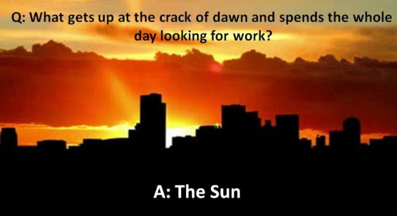 what gets up at the crack of dawn